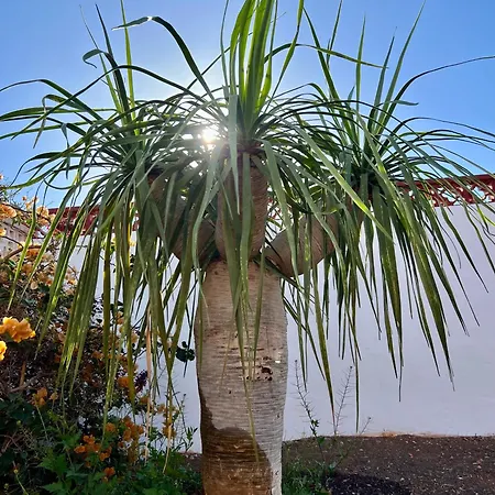 Casa Drago: En El Centro De Fuerteventura