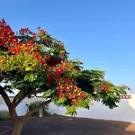 Holiday home Casa Drago *