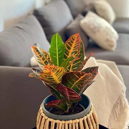 Casa Drago * Valles de Ortega