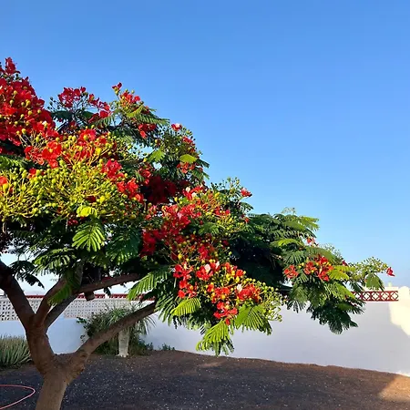 Сasa de vacaciones Casa Drago *