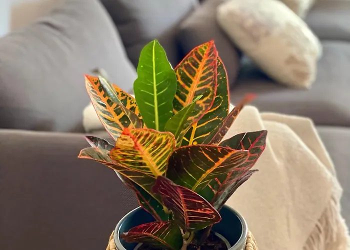 Casa Drago * Valles de Ortega